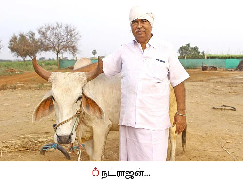 பஞ்சகவ்யா - 9