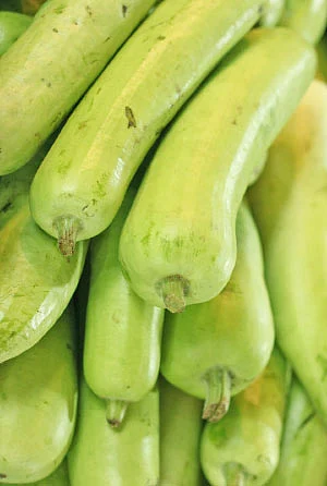 இயற்கை டாக்டர்