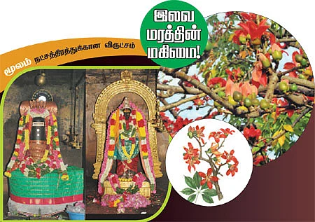 ஆரோக்கியம் அருளும் ஆலய விருட்சங்கள்!