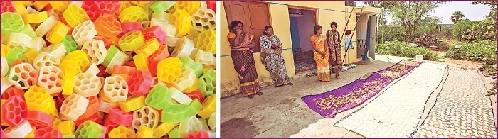 சரித்திர விலாஸ் - இன்றைய மெனு - அப்பளம் - வற்றல் - வடகம்