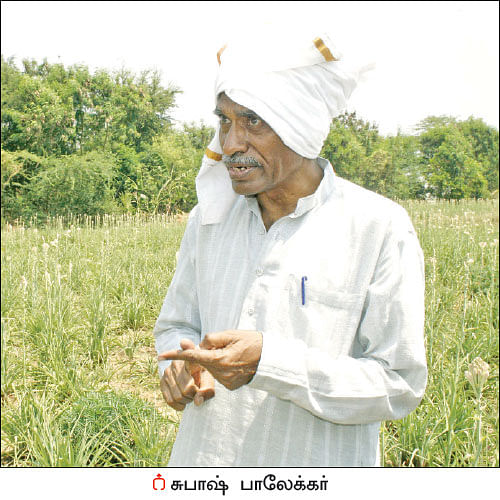 நீங்கள் கேட்டவை: வளமிழந்த நிலத்தை ஜீரோ பட்ஜெட் முறையில் வளமாக்க முடியுமா?