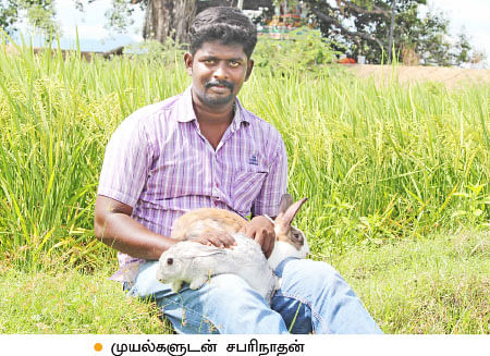என் செல்லமே...