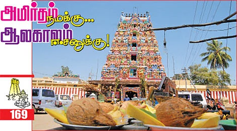 தேவாரத் திருவுலா! - ஆலங்குடி