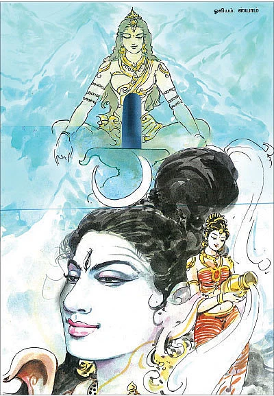 சித்தம்... சிவம்... சாகசம்! - 25