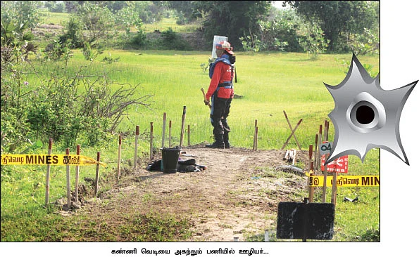 புலித்தடம் தேடி...