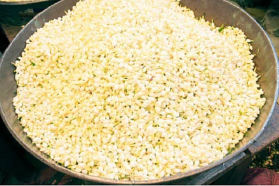 தண்டோரா