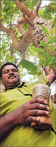 ''நான் முல்லைவனம் ஆனது எப்படி?''