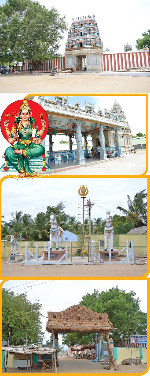 குலம் காப்பாள் கொழுமம் மாரியம்மன்!