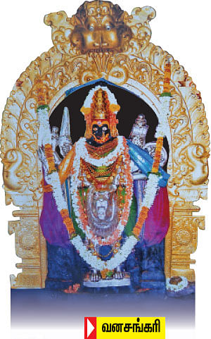 பாதாமி வனசங்கரி (கர்நாடகா)