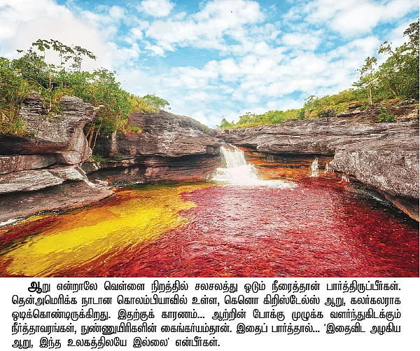 இதெல்லாமே இந்த பூமியில்தான்!