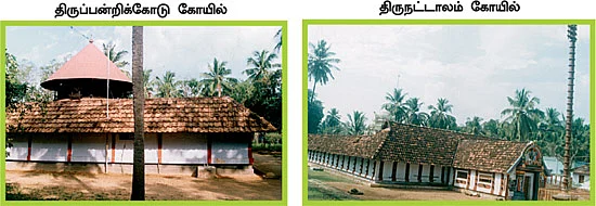 ‘கோவிந்தா... கோபாலா..!’ குமரியில் சிவாலய ஓட்டம்!