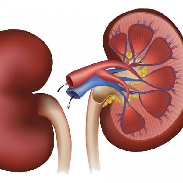 Representation Image