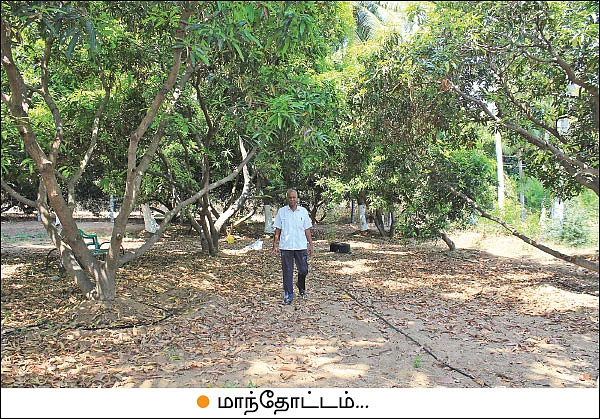 மா... தென்னை... எலுமிச்சை... காய்கறிகள்... ஆண்டுக்கு ரூ. 3,33,000 வருமானம்!