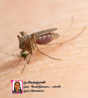 சுட்டி ஸ்டார் நியூஸ்