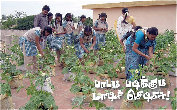 பாடம் படிக்கும் மாடிச் செடிகள் !