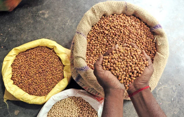 ஏற்றுமதிக்கு ஏற்ற கொண்டைக்கடலை!