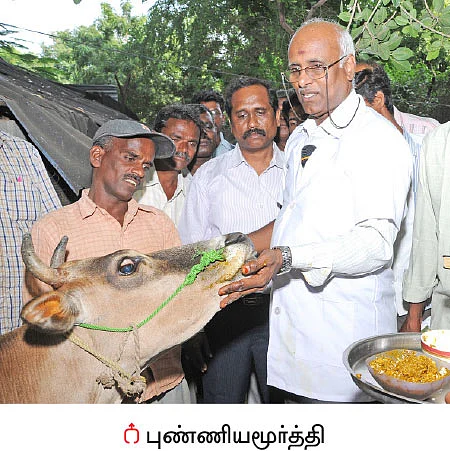 கோடைக்காலம்... கால்நடைகள் கவனம்!