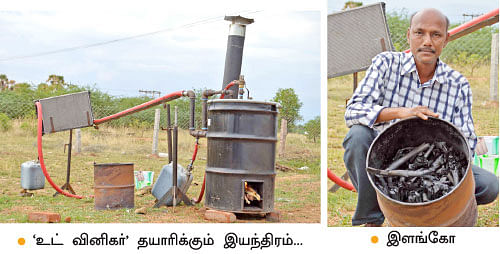 சீமைக்கருவேல்... வரமா... சாபமா ..?