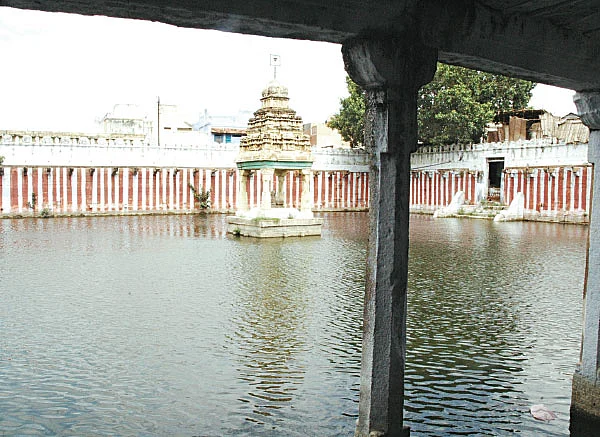 மங்கலங்கள் அருளும் ஆடித்தபசு! - சிறப்புத் தொகுப்பு