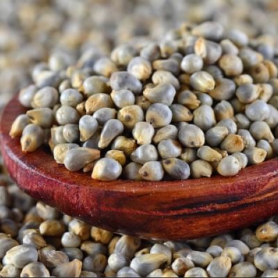 உணவின்றி அமையாது உலகு - 17