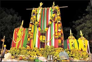 வேட்டைப் பானைத் திருவிழா !