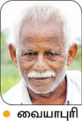 வீழ்ந்தது மரவள்ளி விலை... மாட்டுக்குத் தீவனமாகும் அவலம்!