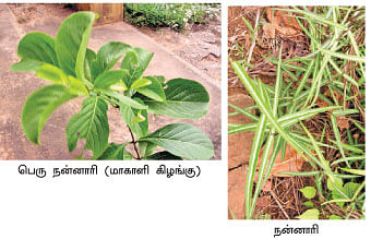 நீங்கள் கேட்டவை