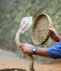 முதல் உதவி செய்வது எப்படி?