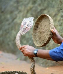 முதல் உதவி செய்வது எப்படி?
