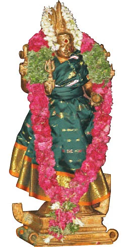 ஸ்ரீநங்கையார் அம்மனின் தயிர்சாத பிரசாதம்!
