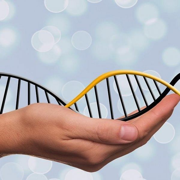 Will Gene Editing Prove Useful against Incurable Diseases?