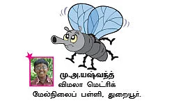 சுட்டி ஸ்டார் நியூஸ்
