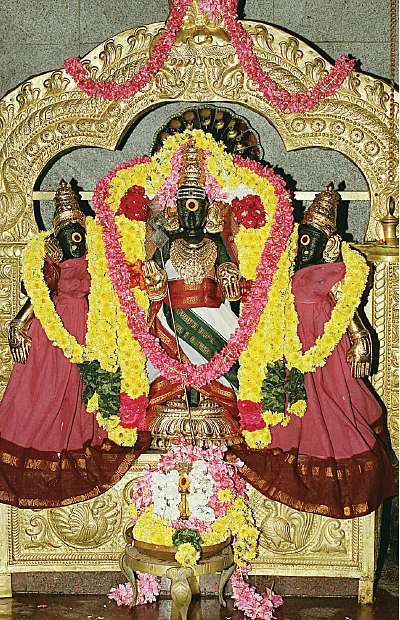 தைப்பூச தரிசனம்!
