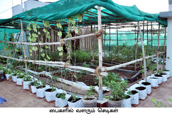 'வீட்டுத் தோட்டங்கள்...'