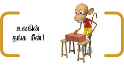 நம்பர் 1 கேட்டி லெடக்கி - 27