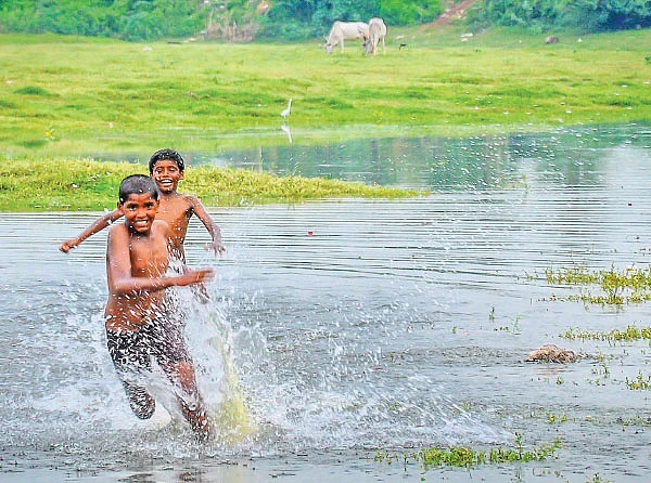 சுட்டி க்ளிக்கர்ஸ்!