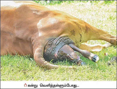 கருப்பையில் நீர்... கவனம்!
