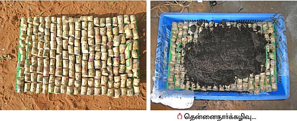 கரும்பு விதைப்பெட்டி... செலவு குறையுது... மகசூல் கூடுது!