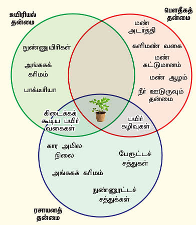 மண்ணுக்கு மரியாதை! - 04
