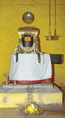 வலைத்’தலம்’!