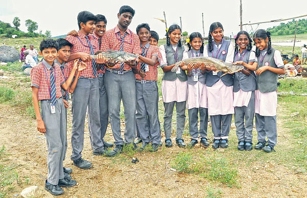 மீன்களும் நாங்களும்...