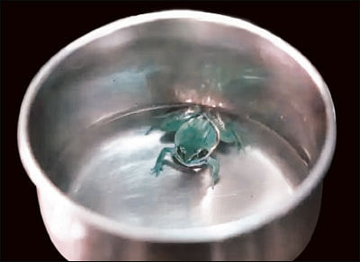 ஷேர் மார்க்கெட் ஏபிசி - 16 - சூழலை உணராத தவளையா நீங்கள்?