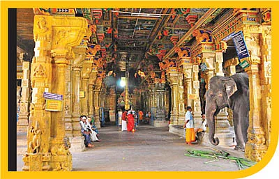 பேரும் புகழும் அருளும் பேரூர் நாயகன்