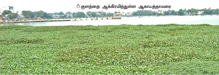 ஆகாயத்தாமரை அகற்றும் கருவி! - மாணவனின் அசத்தல் முயற்சி!