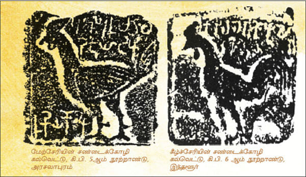 சிந்துசமவெளியில் இருக்கிறது தமிழனின் வேர்கள்!