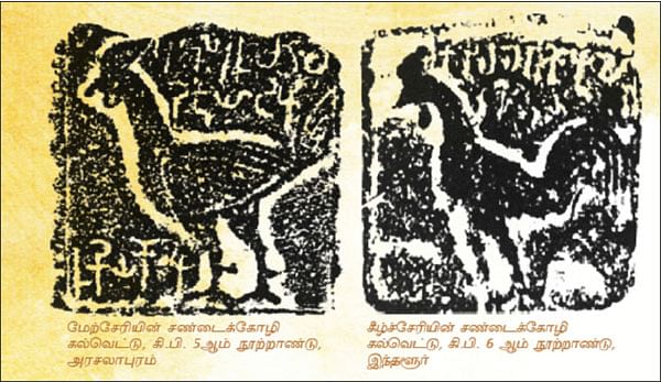 சிந்துசமவெளியில் இருக்கிறது தமிழனின் வேர்கள்!