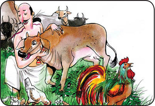 பசுமை ஒலி
