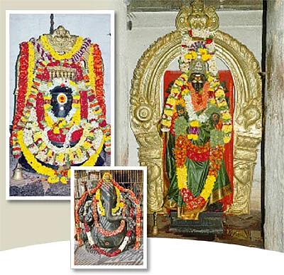 எத்தனை பிழைகள் செய்தாலும்...