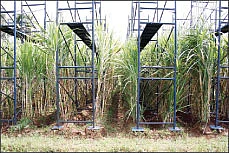 நாட்டு நடப்பு