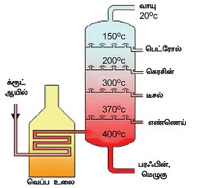 மாயா டீச்சரின் மந்திரக் கம்பளம் !